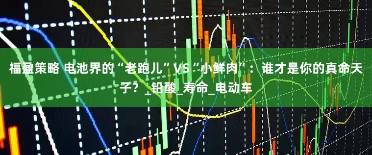 福盈策略 电池界的“老跑儿”VS“小鲜肉”：谁才是你的真命天子？_铅酸_寿命_电动车